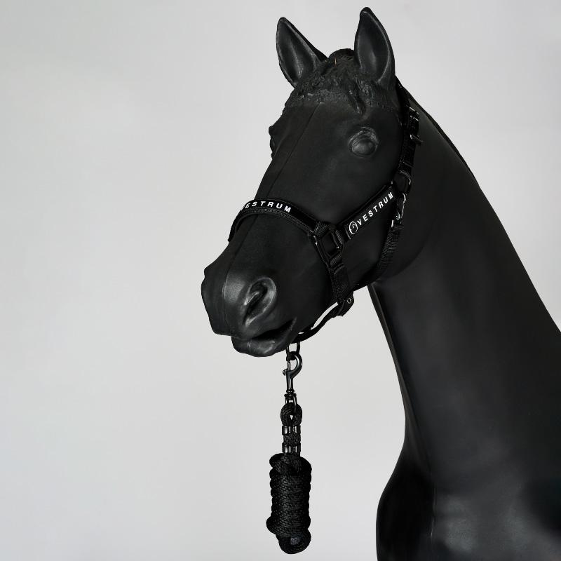 VESTRUM（ヴェストラム） ロクリ 無口曳手セットの画像