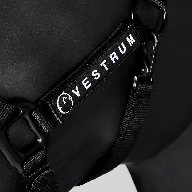 VESTRUM（ヴェストラム） ロクリ 無口曳手セットの画像