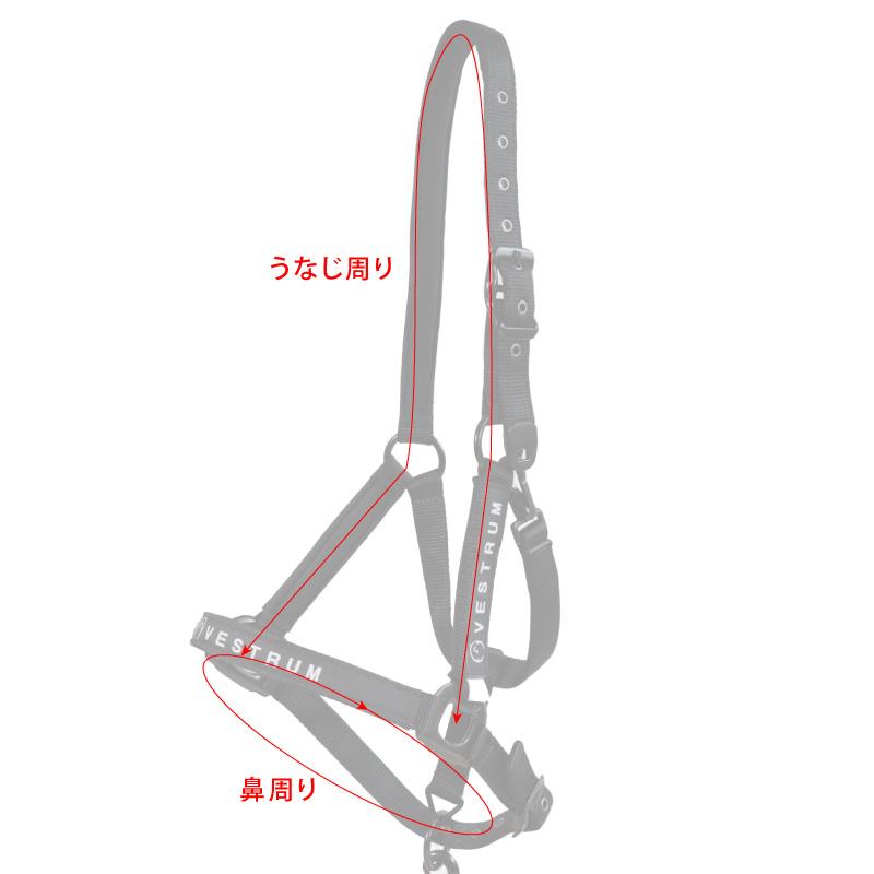 VESTRUM（ヴェストラム） ロクリ 無口曳手セットの画像