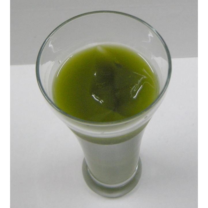 ケース販売：業務用グリーンティー１Ｋｇ×10本