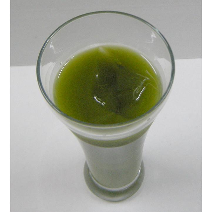 【新品 送料込み】 ケース販売：業務用グリーンティー１Ｋｇ×10本 【1994967951】(10260円)