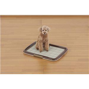 （まとめ）しつけるトレーメッシュプラスM ブラウン (ペット用品) (×2セット）(卸商品)の画像