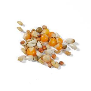（まとめ）ペットプロ ハトのごはん 1kg【×12セット】(卸商品)_1