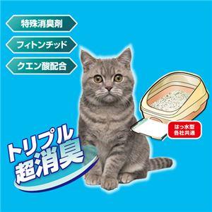 (まとめ）ペットプロジャパン PetPro デオフリー システムトイレ用強力消臭サンド 4L 1パック 【×10セット】(卸商品)の画像