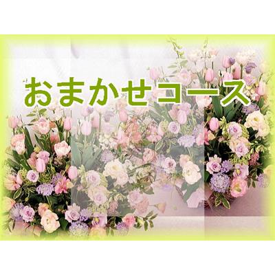 おまかせ12,000円コース