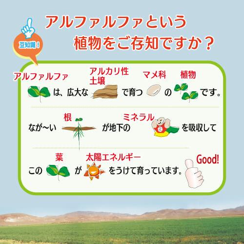 アルファエー（1Lパック） : shopooo by GMO - 通販 - Yahoo!ショッピング
