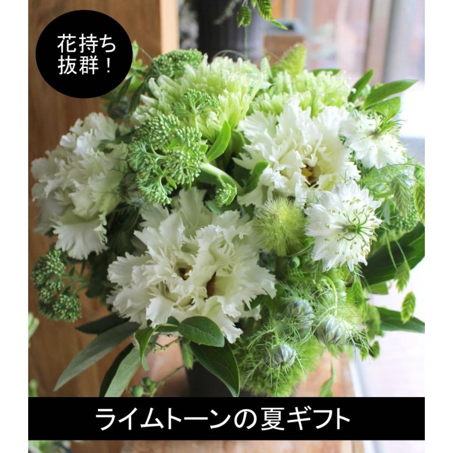 Shopooo L Size アレンジメント ライムトーンの涼ギフト ７月 の花 若竹 Size 6月 8月