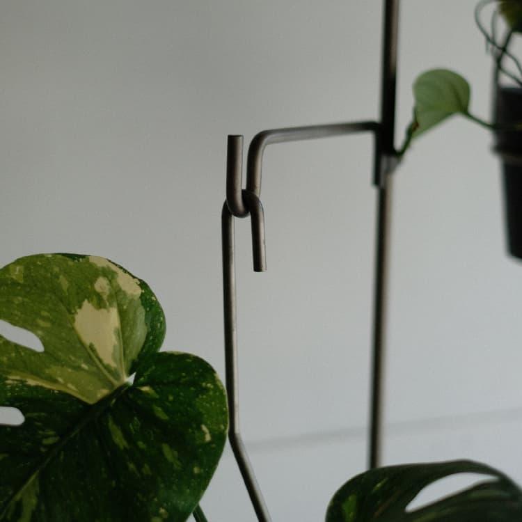 プロップ バーティカルスタンド PLOP Vertical Stand : shopooo by GMO