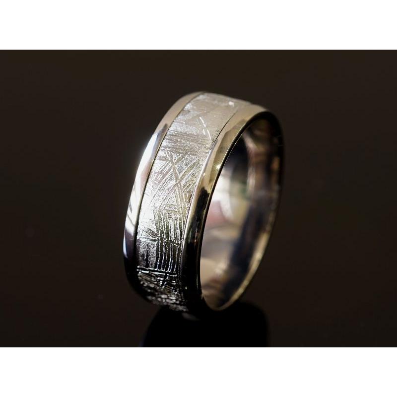 ギベオン隕石 リング・指輪 （ギベオン＋チタン）Type1 : shopooo by