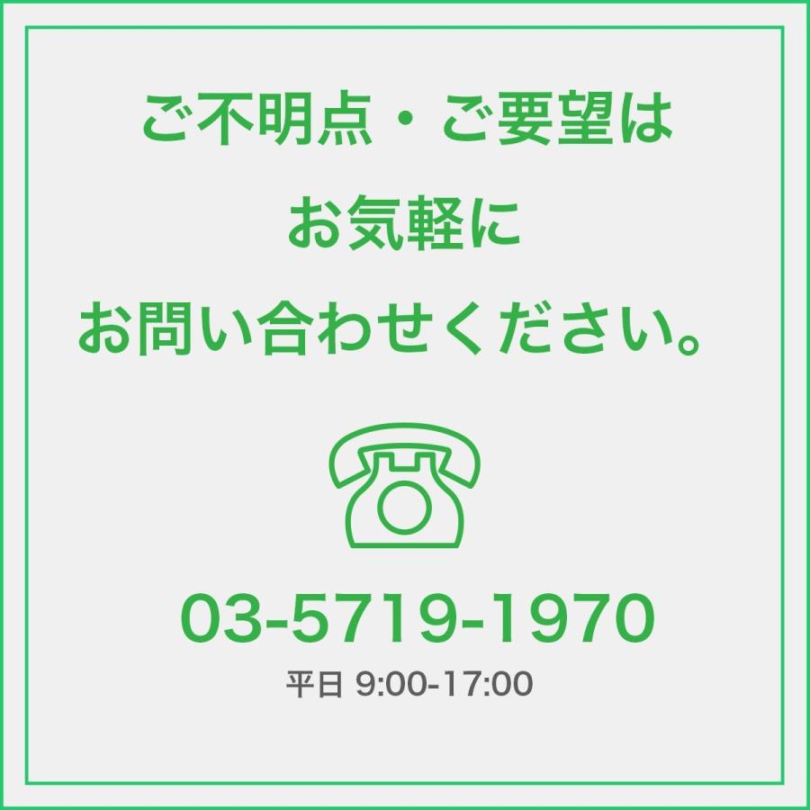 アメジストエレスチャル ペンダントトップ （18金イエローゴールド） No.19の画像
