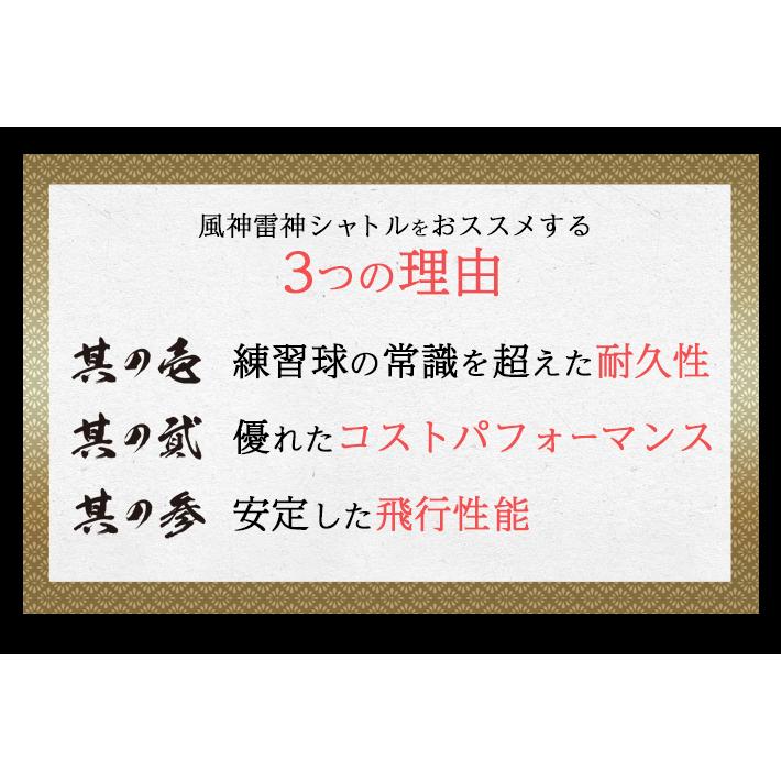 バドミントン シャトル 風神雷神シャトル 練習球 10ダース : shopooo 