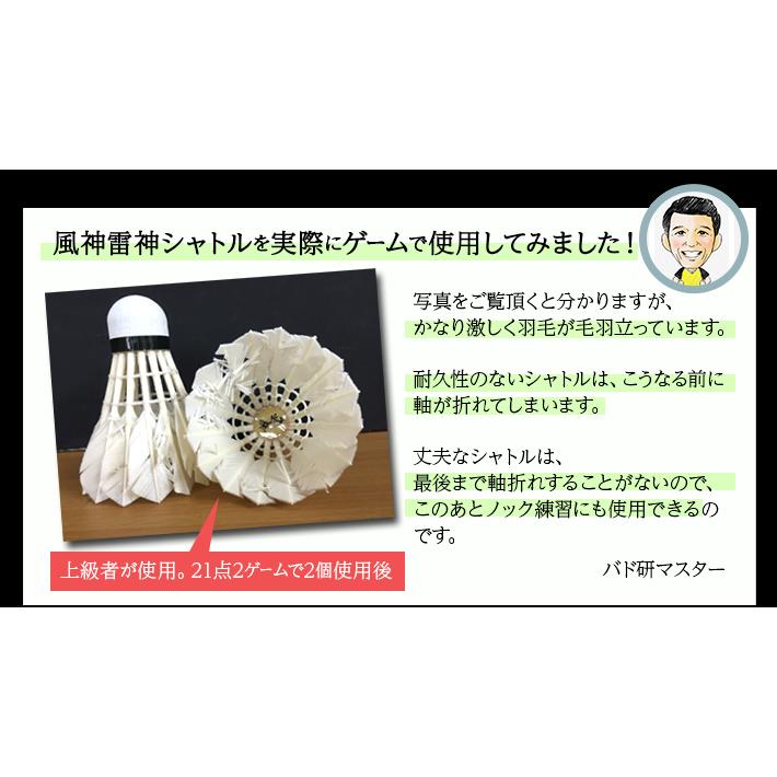 バドミントン シャトル 風神雷神シャトル 練習球 10ダース : shopooo 