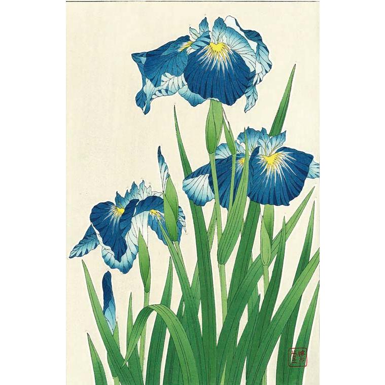 F003 花菖蒲 花版画 Flower Woodcut ‐Iris‐ : shopooo by GMO - 通販