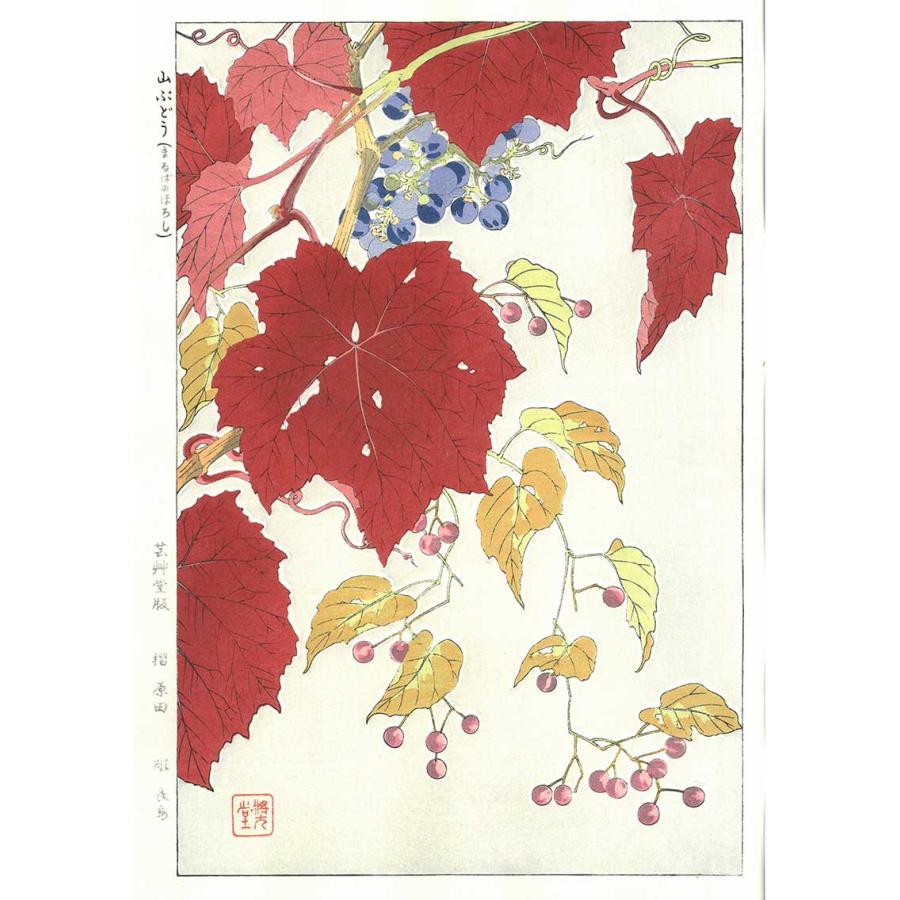 葡萄と葉のレリーフ装飾 ぶどう木製アートアルバムノートアンティークヴィンテージ 葡萄と葉のレリーフ装飾 ぶどう木製アートアルバムノート