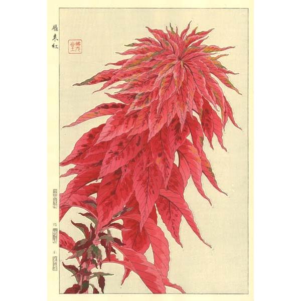 F108 ハゲイトウ　花版画 Flower Woodcut ‐Chinese amaranth ‐｜itempost