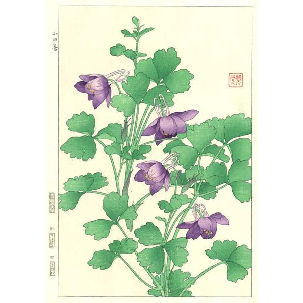 使い勝手の良いのf015 オダマキ Gmoのf015 花版画 絵画 Flower Woodcut Columbine