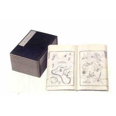 北斎漫画(ほくさいまんが) HOKUSAI MANGA：THE SKETCHBOOKS OF HOKUSAI