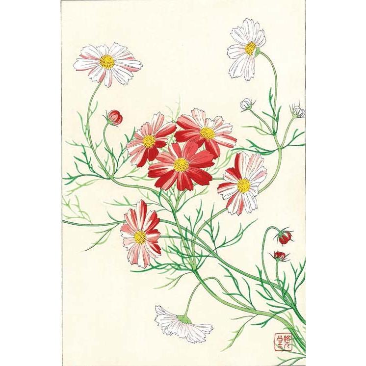 F040 コスモス　花版画 Flower Woodcut-Cosmos-｜itempost