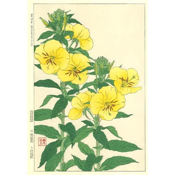 F133 宵待草 花版画 Flower Woodcut-Evening primrose-｜itempost