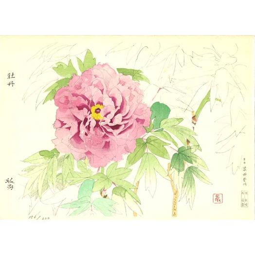 松尾　敏男（日本美術院理事長）大判リトグラフ『夕牡丹』作家保存版 今月のおすすめ 松尾 敏男（日本美術院理事長）大判リトグラフ『夕牡丹