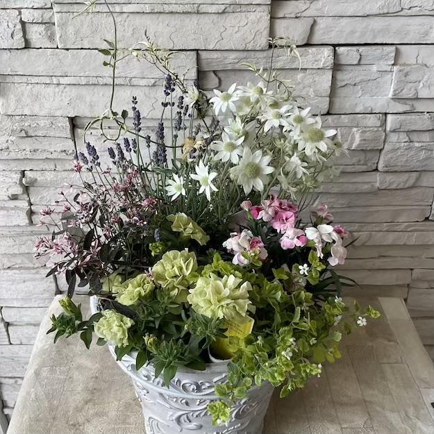自分で作る寄せ植え花苗セット】ナチュラルガーデン風寄せ植え