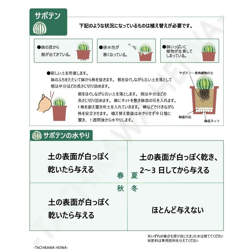 サボテン・多肉植物の培養土 約10L 園芸用土 サボテン・多肉植物の培養土 約10L 園芸用土