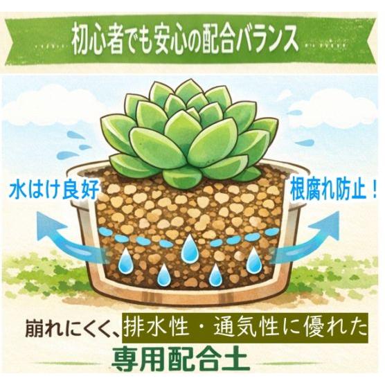 サボテン・多肉植物の培養土 約10L : shopooo by GMO - 通販 - Yahoo