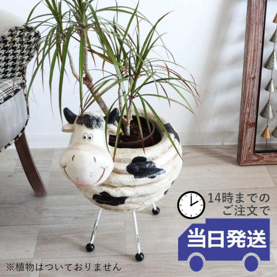プランタースタンド ガーデニング鉢カバー ウシ 5号鉢｜おしゃれなインテリアの輸入雑貨イエ【公式通販】_1