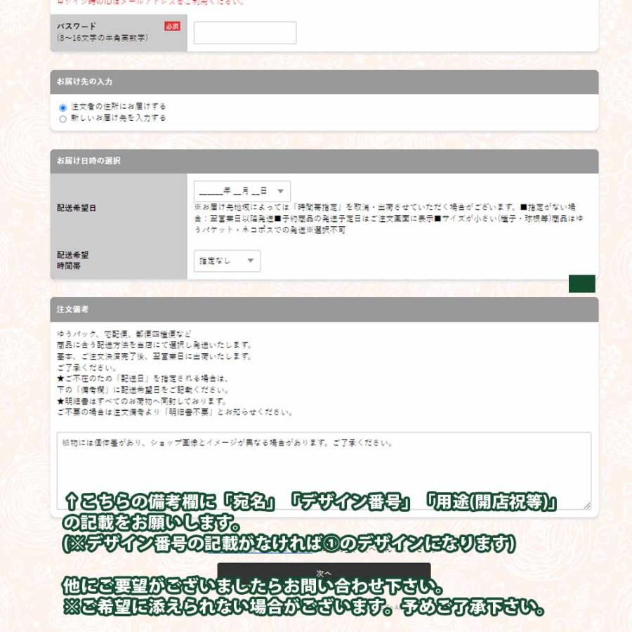 ストレリチア・オーガスタ【大型 観葉植物 8号鉢／Lサイズ1個