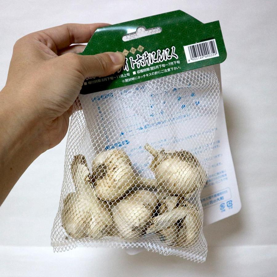 送料無料 ホワイト六片にんにく 種球根 野菜球根 裸球5球セット にんにく種 にんにく球根 ニンニク球根 ニンニク種 家庭菜園 初心者 簡単 苗 裸球 株 家庭 1 Itanse 12 Shopooo By Gmo 通販 Yahoo ショッピング