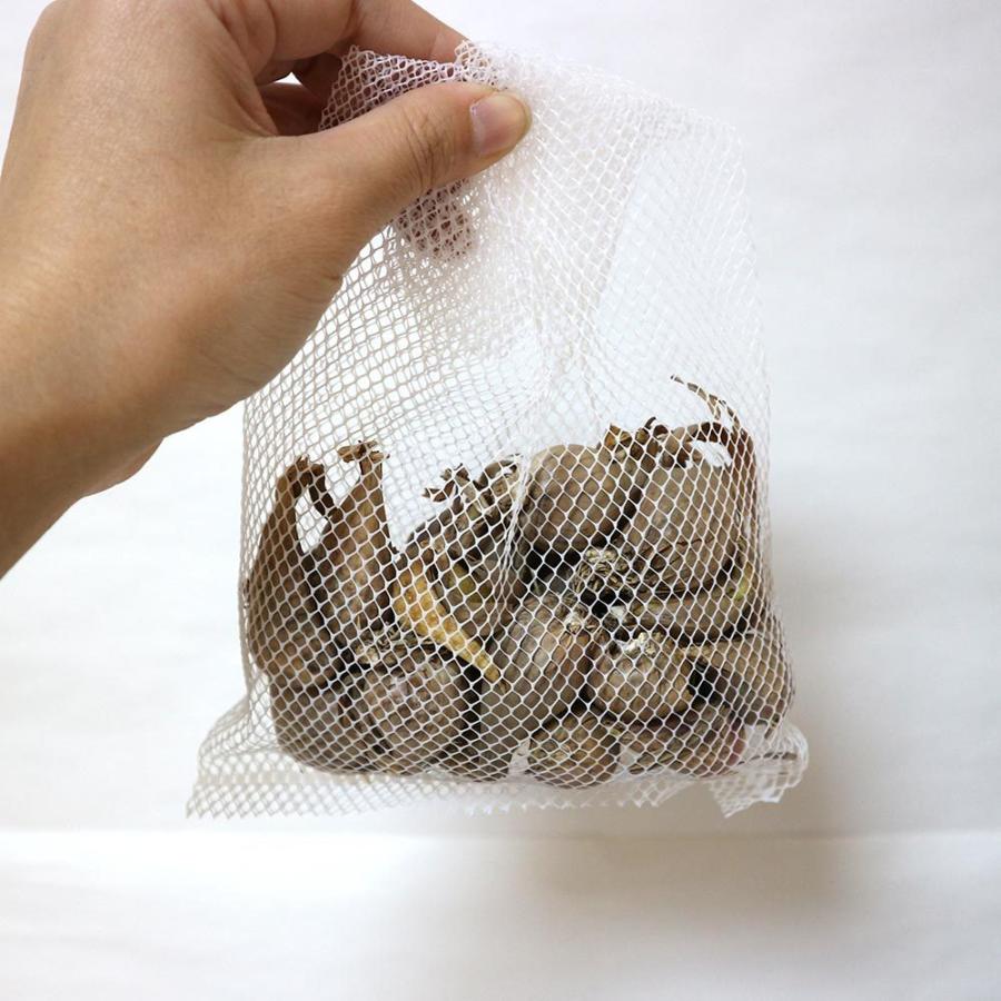 送料無料 あさつき 種球根 ネット詰め野菜球根 充填時0g 1袋 あさつき種 あさつき球根 アサツキ球根 アサツキ種 浅葱種 浅葱球根 家庭菜園 初心者 簡単 1 Itanse 1291 Shopooo By Gmo 通販 Yahoo ショッピング