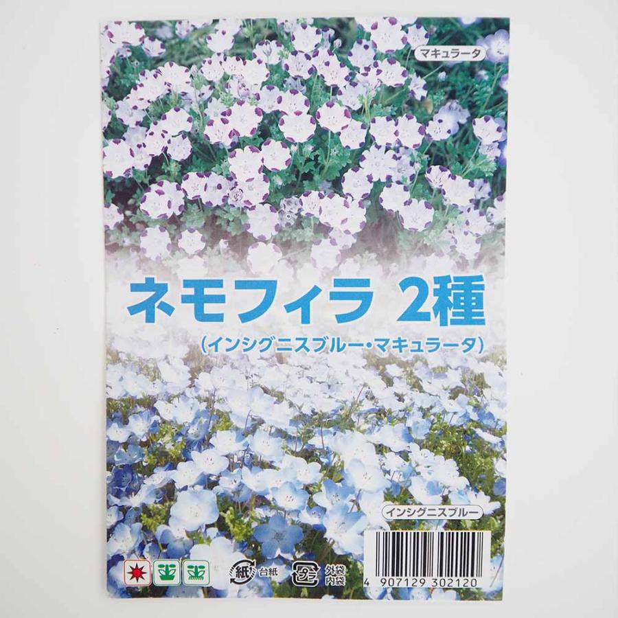 種子 ネモフィラ 【 各約50粒／1袋売り】 : shopooo by GMO - 通販