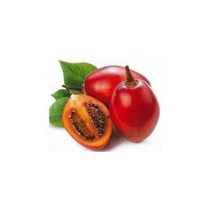 トマトの木 タマリロ の種子 約２０粒 種が大きいので結構簡単に蒔けます 送料無料 1 Itanse Shopooo By Gmo 通販 Yahoo ショッピング