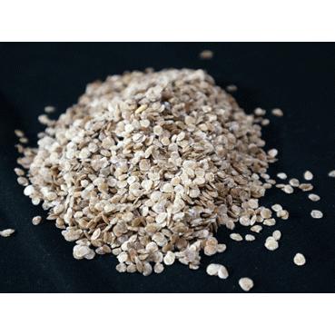 トマトの木 タマリロ の種子 約２０粒 種が大きいので結構簡単に蒔けます 送料無料 1 Itanse Shopooo By Gmo 通販 Yahoo ショッピング