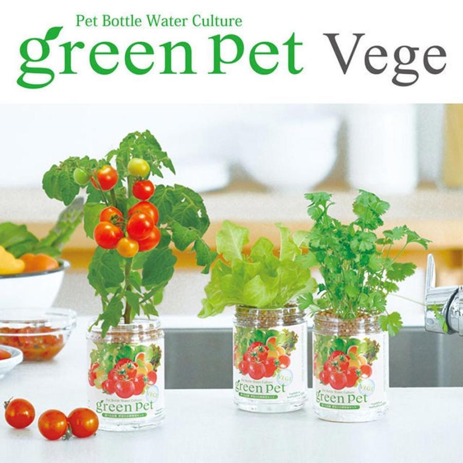 送料無料 グリーンペット ミント1個 窓辺で育てる水耕栽培セット 栽培キット 栽培セット セット商品 セット販売 栽培キット 家庭菜園 ガーデニング プラン 1 Itanse 259 Shopooo By Gmo 通販 Yahoo ショッピング