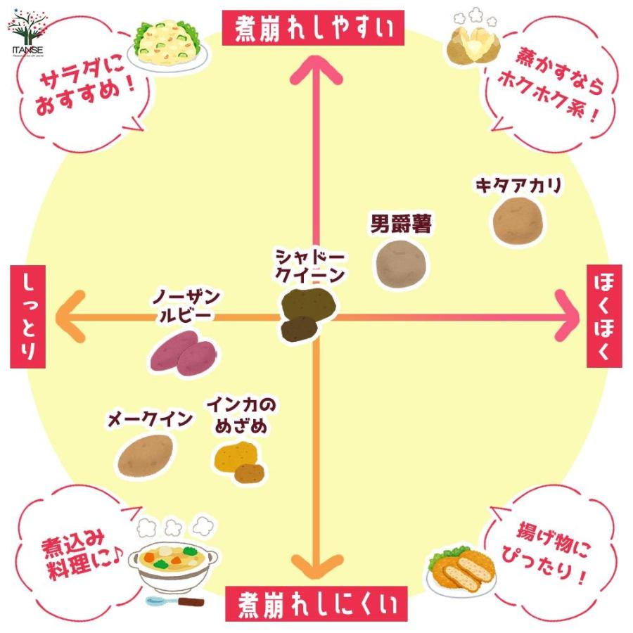 送料無料 じゃがいもの種芋 品種 キタアカリ 種ばれいしょ 野菜種芋 1kg 充填時 じゃがいも ジャガイモ じゃが芋 種芋 種いも たねいも 家庭菜園 1 Itanse 2871 Shopooo By Gmo 通販 Yahoo ショッピング