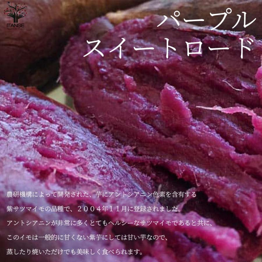 ⭐️完成品⭐️ さつまいも切苗 品種：パープルスイートロード【野菜の苗／切苗：約250本(25本×10束)】 【V2122486514】(10916円)