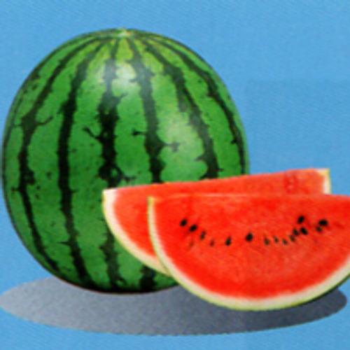 送料無料 4 13頃出荷予定 赤大玉スイカ 品種 夢のつづき 接ぎ木苗 野菜 接木苗9cmポット お買い得4個セット ガーデニング 家庭菜園 ベランダ 露地栽培 簡 1 Itanse 522 Shopooo By Gmo 通販 Yahoo ショッピング