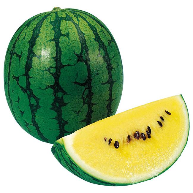 送料無料 即出荷 黄小玉スイカ 品種 ミゼット 接ぎ木苗 野菜 接木苗9cmポット 2個セット ガーデニング 家庭菜園 ベランダ 露地栽培 簡単栽培 プランター 1 Itanse 530 Shopooo By Gmo 通販 Yahoo ショッピング