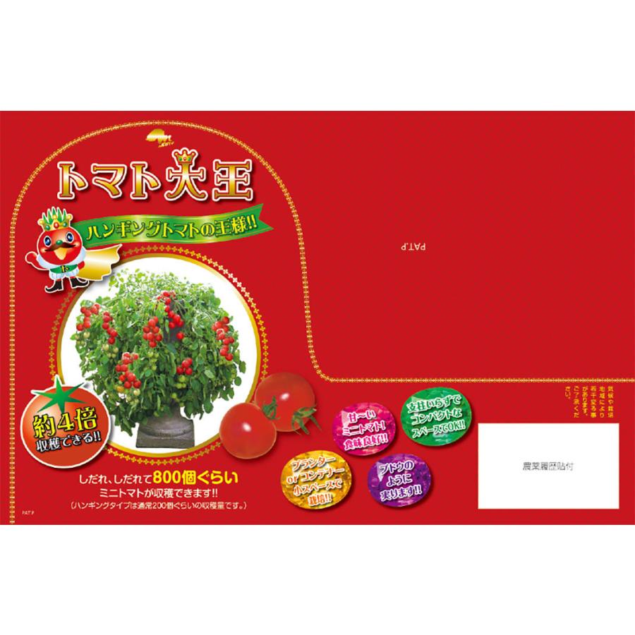 想像を超えての 送料無料 即出荷 バレンシアトマトの苗 品種 Valencia Tomato 固定種野菜苗10 5cmポット 自根苗 4個セット 中玉 トマト 大玉トマト トマト苗 家庭菜園 Originaljustturkey Com