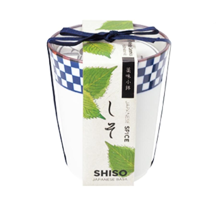 栽培セット 青じそ 染付小紋 薬味小鉢【野菜の苗／1個売り】 : shopooo