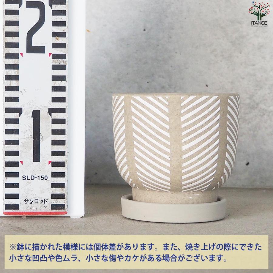 好評 皿付陶器鉢 ヘリンボーン【資材 12cm／お買い得4個セット】