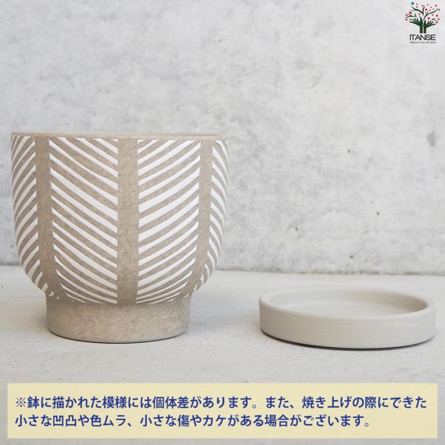 好評 皿付陶器鉢 ヘリンボーン【資材 12cm／お買い得4個セット】