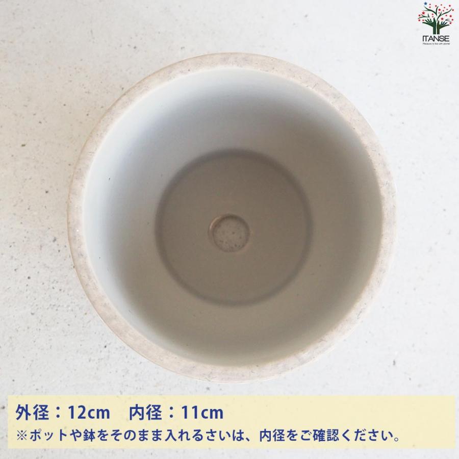 好評 皿付陶器鉢 ヘリンボーン【資材 12cm／お買い得4個セット】