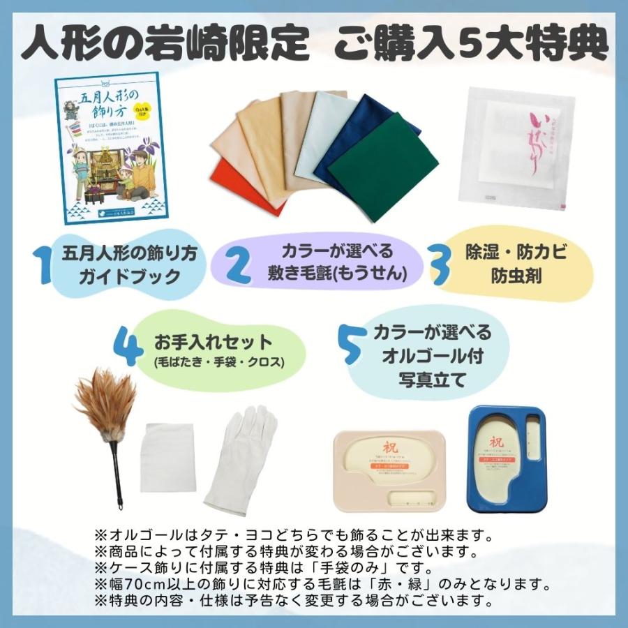 【五月人形】8号 菊一文字 兜飾り〈忠保作〉[225-059]_12