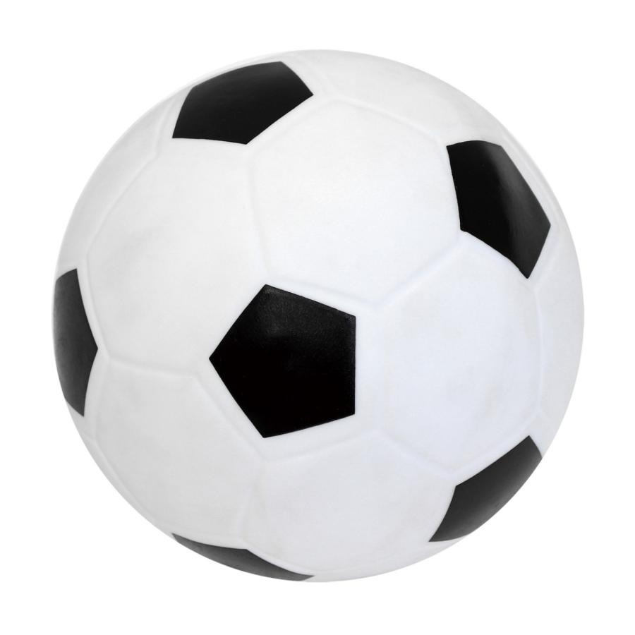 Enjoy Family (エンジョイファミリー） マジックナインサッカー EFS