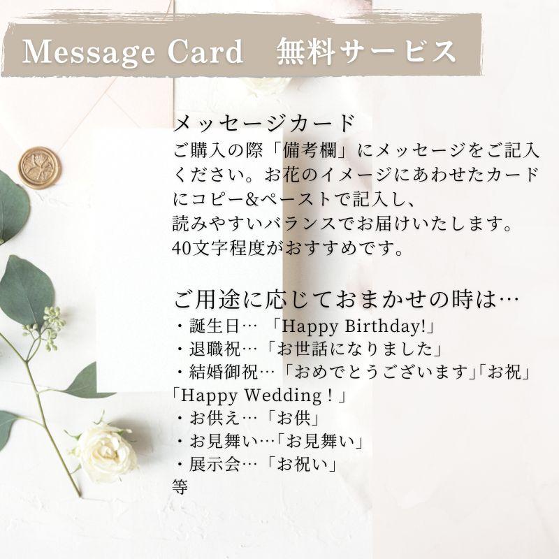 HarvestO 01101 〜ハーベスト 01101〜の画像