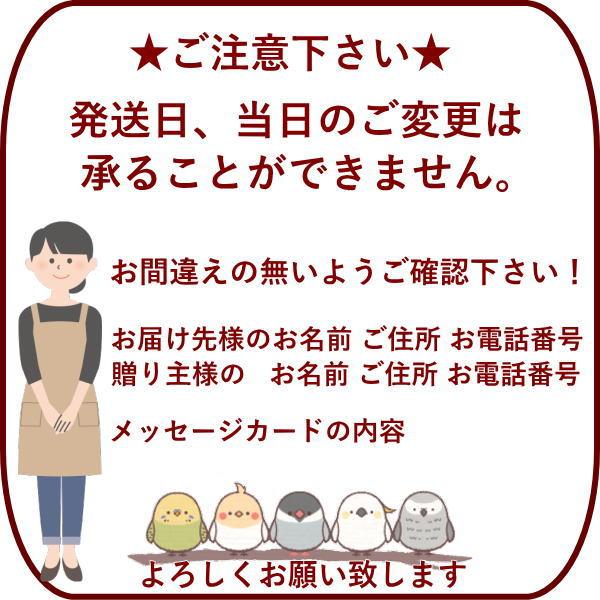 HarvestO 01101 〜ハーベスト 01101〜の画像
