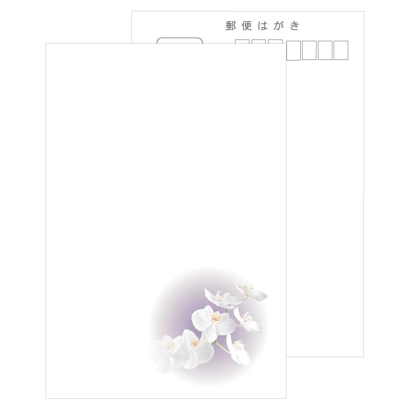 胡蝶蘭 50枚 喪中はがき 用紙 私製はがき 格調高く清潔感があるな絵柄
