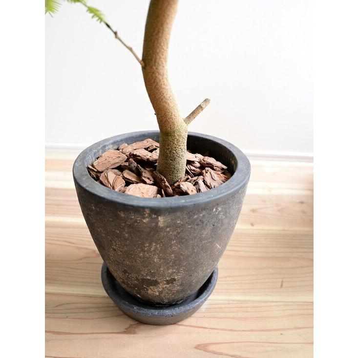 エバーフレッシュ 黒色 エッグ ラウンド 陶器鉢 鉢植え 鉢 苗 苗木